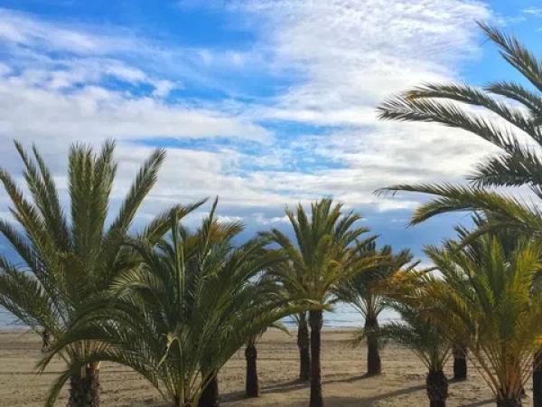 Piso en calle Gabriel Miró