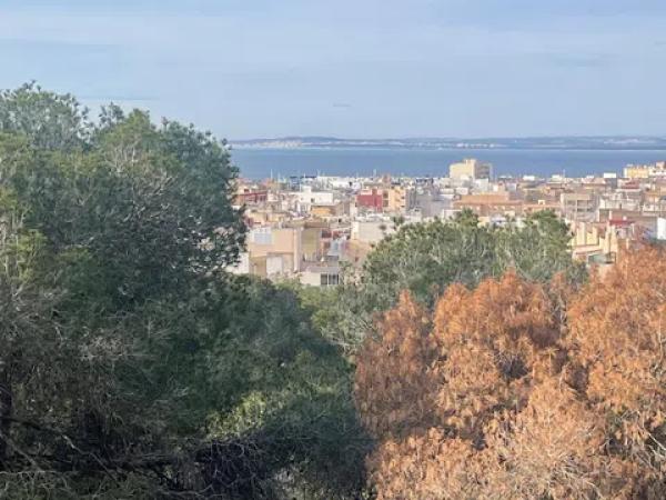 Piso en calle Pablo Iglesias