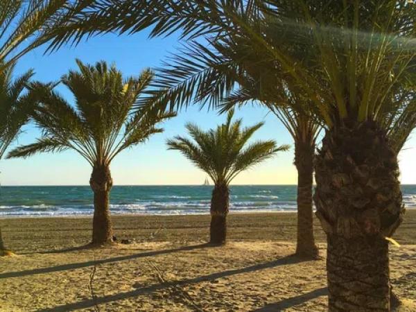 Piso en calle Francisco Martínez