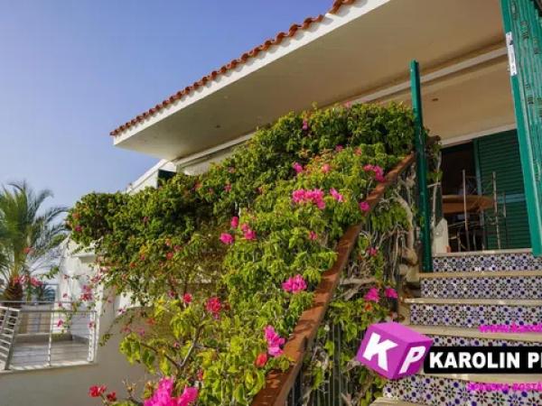 Piso en avenida de la Armada Española