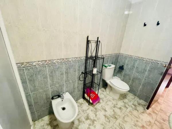 Piso en avenida Oscar Espla