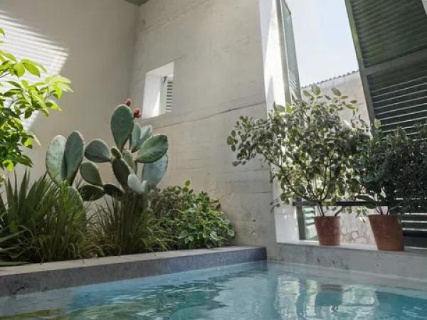 JARDINES DE VALLDEMOSSA