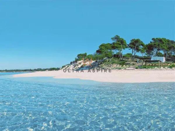 Allure de Sant Jordi