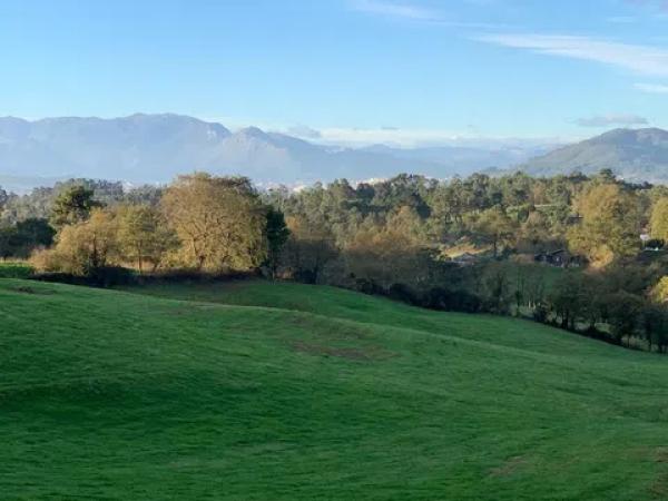 Casa o chalet independiente en venta en Urbanizacion Barganiza, 601