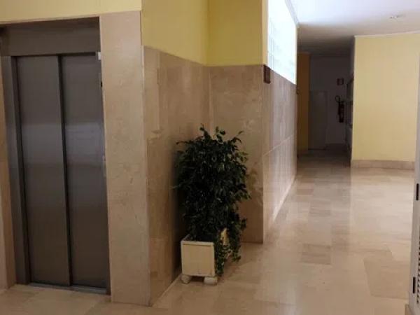 Ático en avenida Miguel Hernández