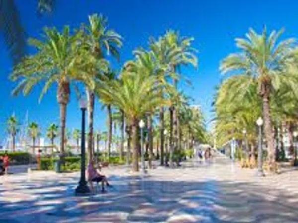 Piso en avenida de València