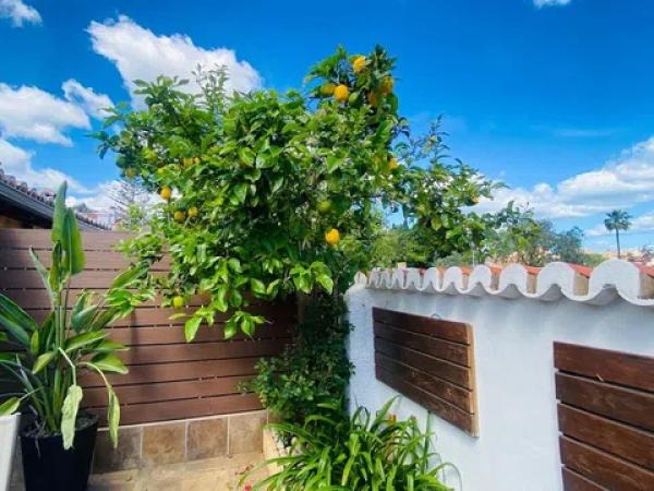 Chalet adosado en camino Pou de la Muntanya