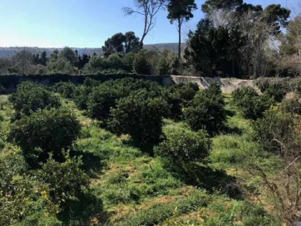 Chalet en La Xara - La Sella - Jesús Pobre