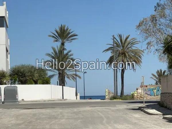 Estudio en camino Assagador de la Marjal