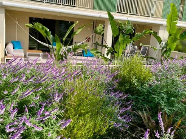 Piso en calle D'Albiorix, 2