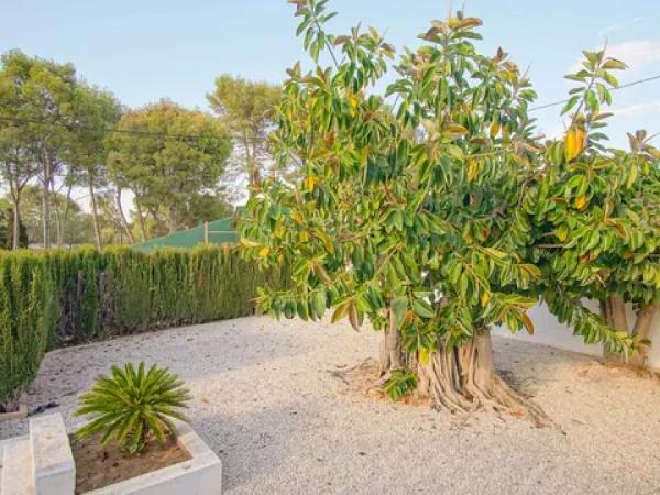 Chalet en Les Rotes/Las Rotas