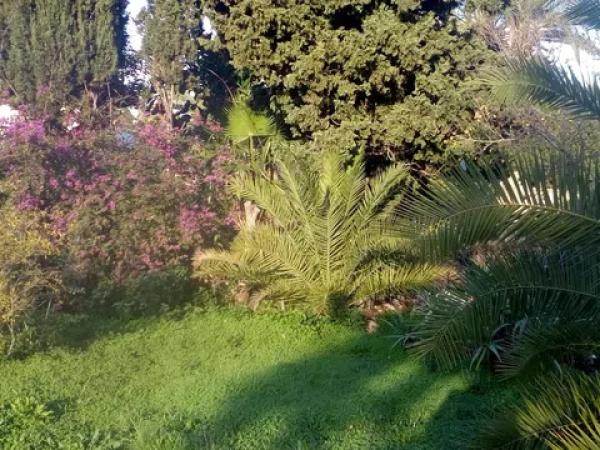 Casa independiente en calle Romer, 6