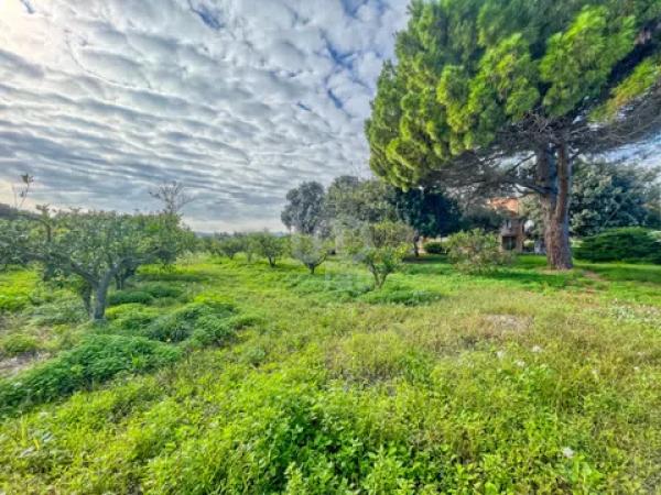 Chalet en Barrio Les Bassetes-El Marjal