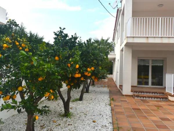 Casa independiente en Partida Bovetes Nord