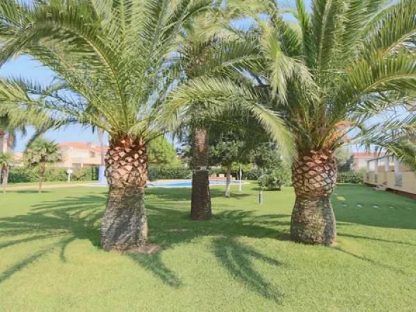 Piso en Barrio Les Bovetes-La Felicidad