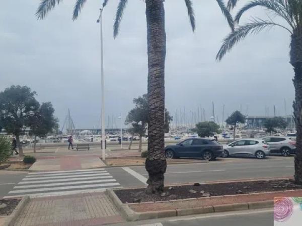 Casa independiente en calle Alberto Sentí