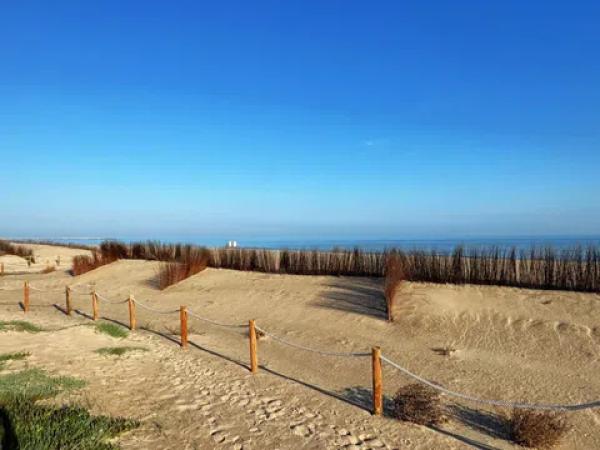 Chalet adosado en calle Riu Sec, 2