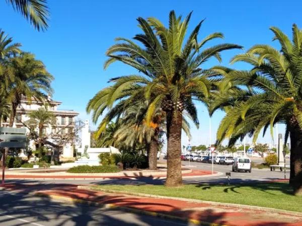 Estudio en El Puerto