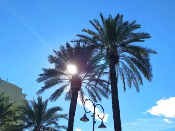 Estudio en El Puerto