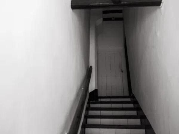 Estudio en El Puerto