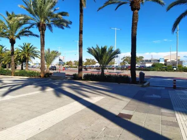 Estudio en El Puerto