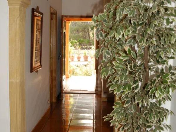 Chalet en La Pedrera-Vessanes