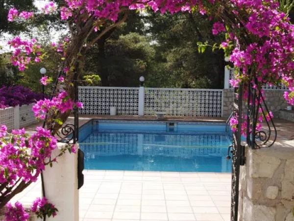 Chalet en camino de la Pedrera