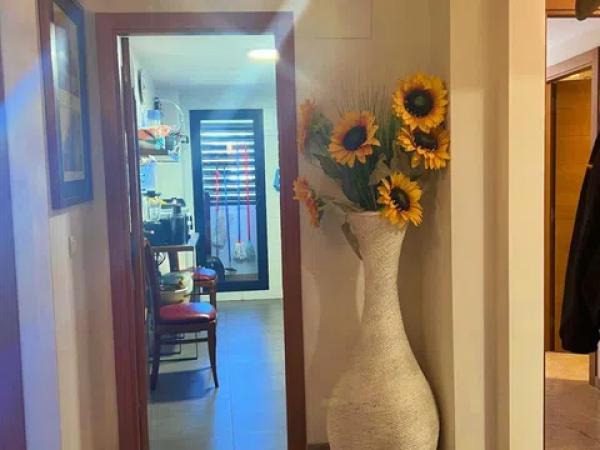 Piso en calle Pintor Llorens, 13