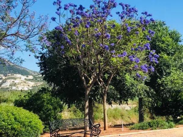 Piso en calle de Clara Campoamor, 9