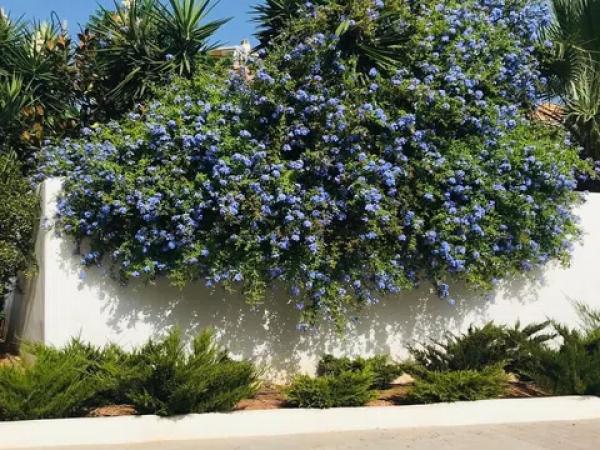 Piso en calle de Clara Campoamor, 9