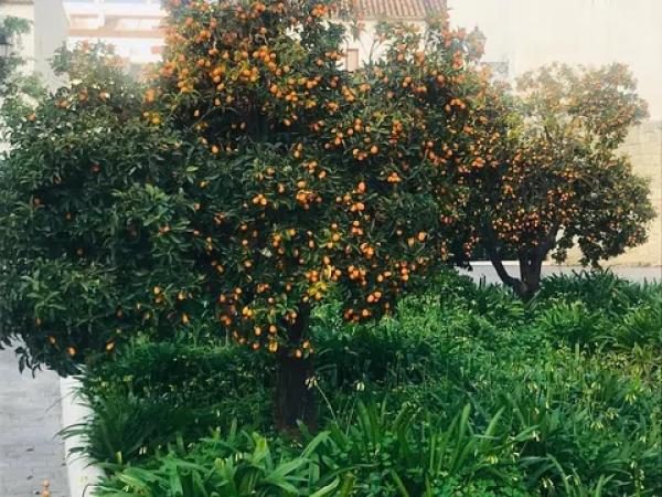 Piso en calle de Clara Campoamor, 9