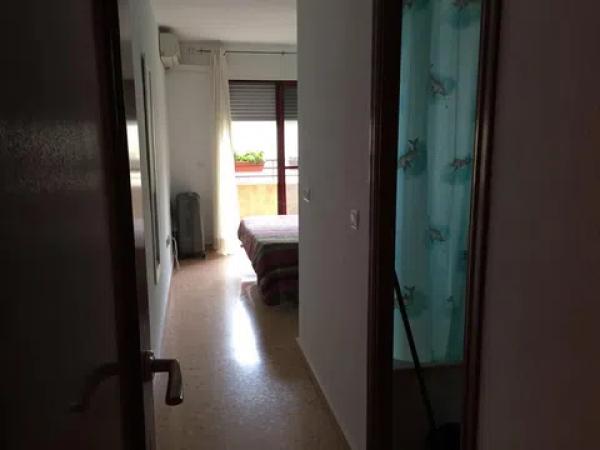 Ático en avenida Miguel Hernández, 18