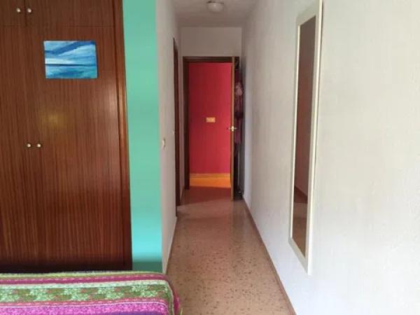 Ático en avenida Miguel Hernández, 18