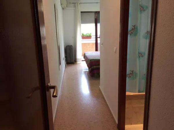 Ático en avenida Miguel Hernández, 18