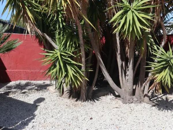 Casa independiente en carretera de Dénia a Xábia