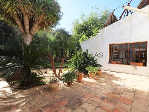 Casa independiente en Partida Plana d'Elies