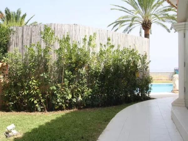 Casa independiente en calle Riu Ebron s/n