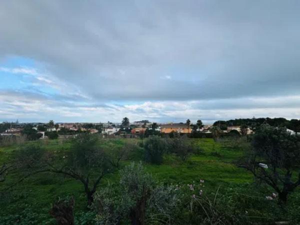 Casa independiente en calle Arròs