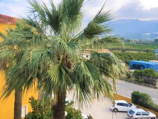 Piso en La Xara - La Sella - Jesús Pobre