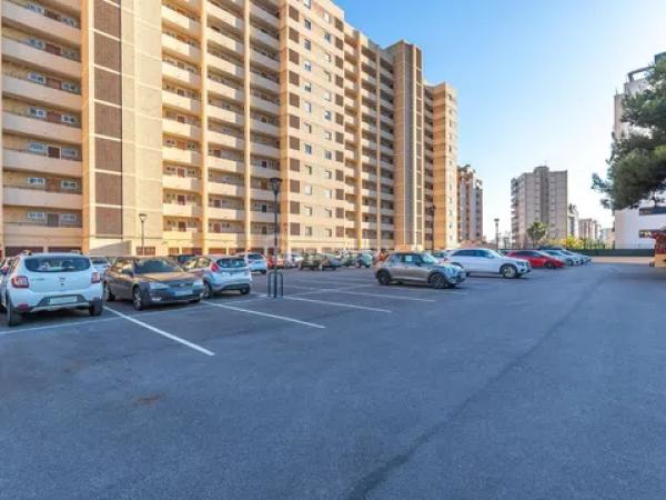 Piso en avenida de la Condomina