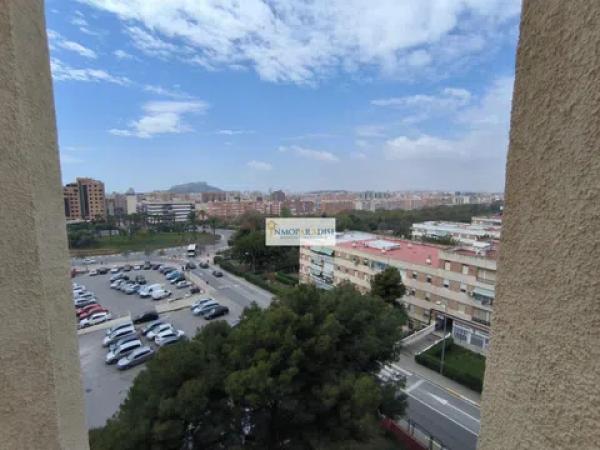 Piso en calle Pintor Antonio Amorós