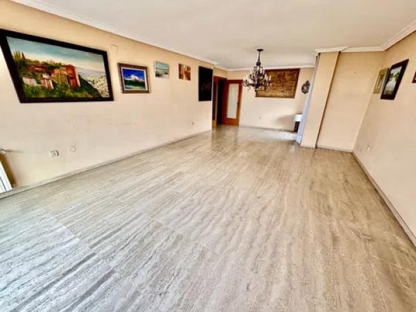 Piso en avenida Oscar Espla