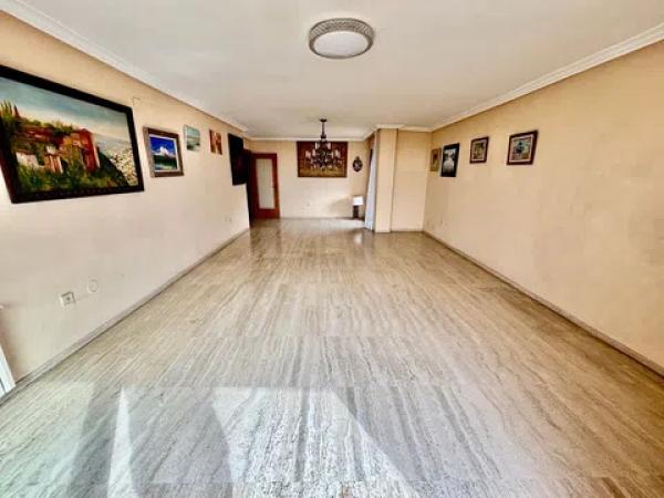 Piso en avenida Oscar Espla