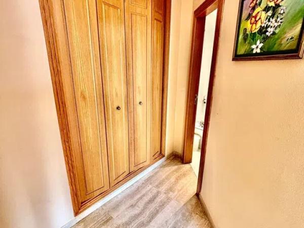 Piso en avenida Oscar Espla