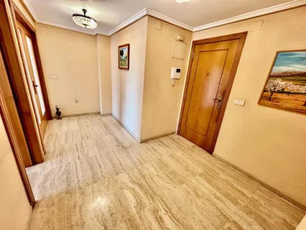 Piso en avenida Oscar Espla