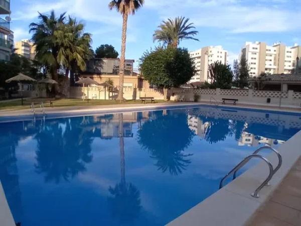 Estudio en calle Músico Vicente Spiteri