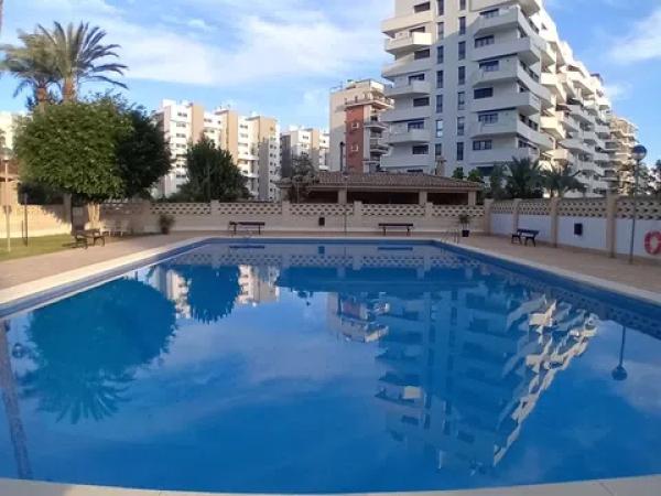 Estudio en calle Músico Vicente Spiteri