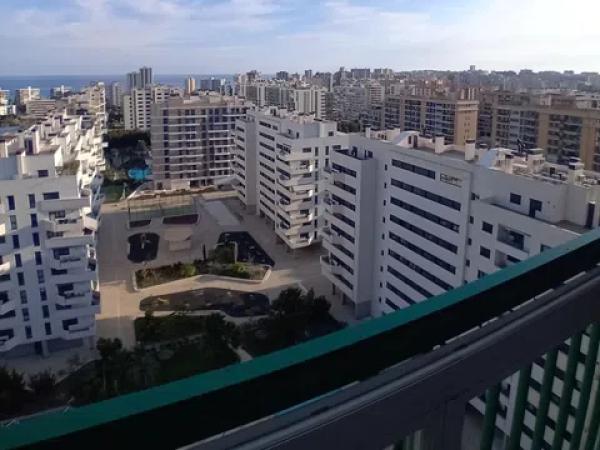 Estudio en calle Músico Vicente Spiteri