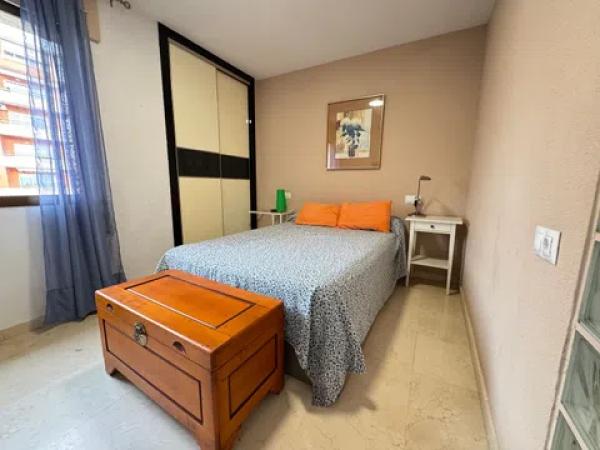 Piso en avenida Eusebi Sempere, 11