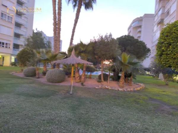 Piso en avenida Oviedo